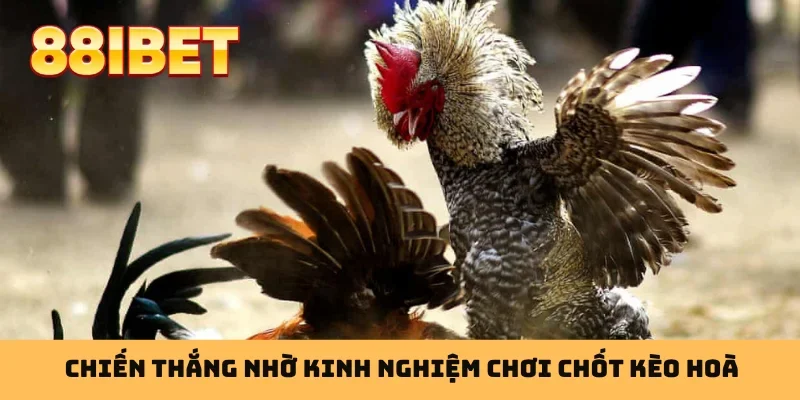 Chiến thắng nhờ kinh nghiệm chơi chốt kèo hoà