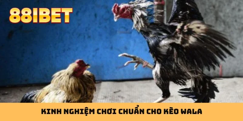Kinh nghiệm chơi chuẩn cho kèo Wala