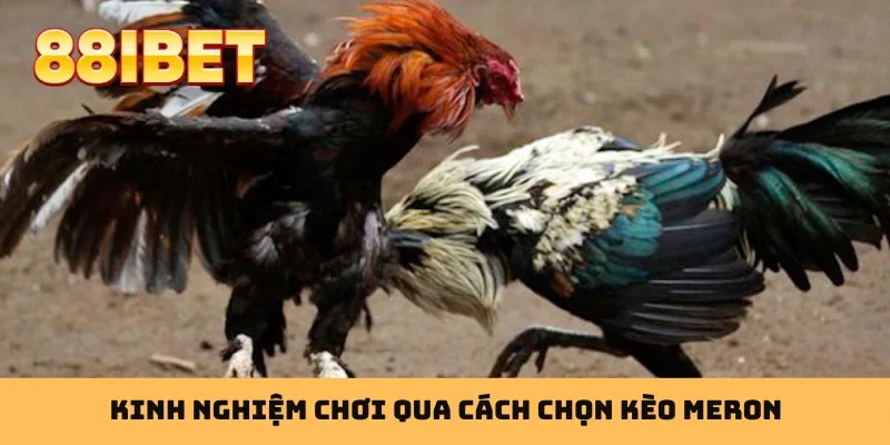 Kinh nghiệm chơi qua cách chọn kèo Meron