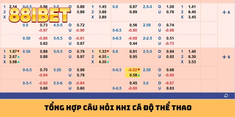 Tổng hợp câu hỏi khi cá độ thể thao